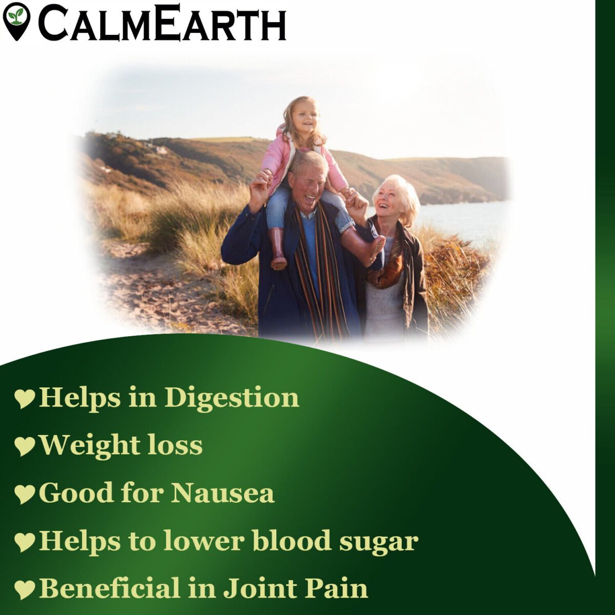 Ginger Extract Powder powder natural herbal powder by CalmEarth