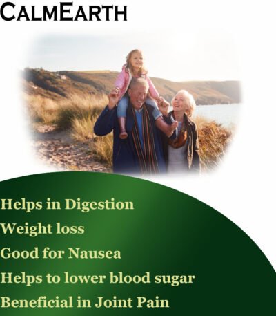 Ginger Extract Powder powder natural herbal powder by CalmEarth