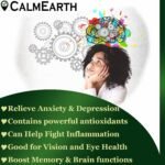 Ginkgo Biloba Extract Capsules capsules close-up view by CalmEarth