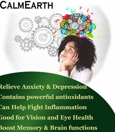 Ginkgo Biloba Extract Capsules capsules close-up view by CalmEarth