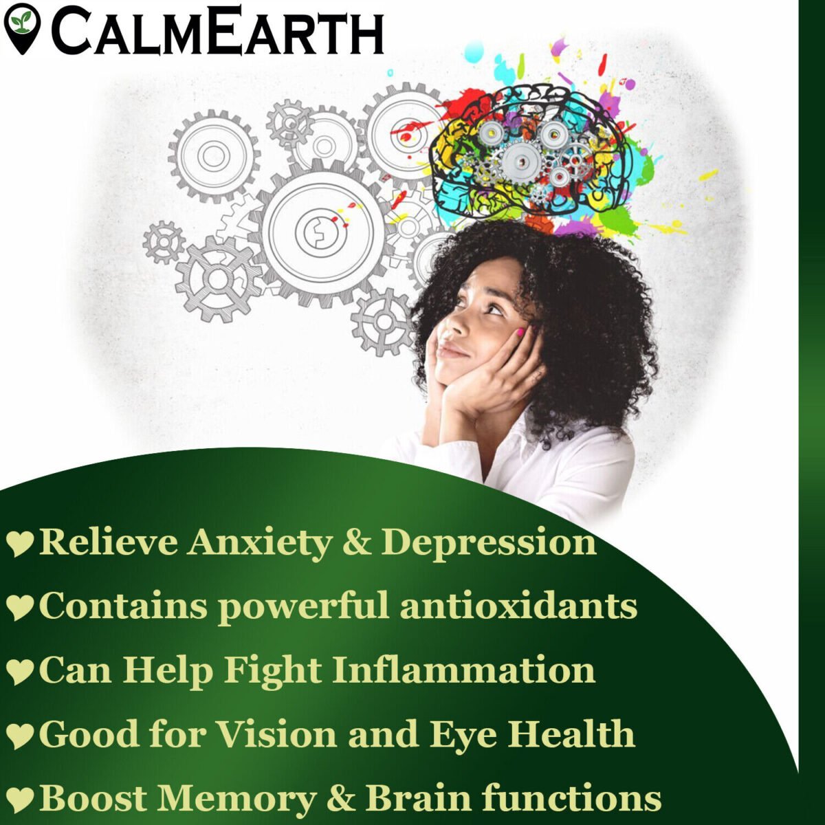 Ginkgo Biloba Leaf Extract Powder powder natural herbal powder by CalmEarth