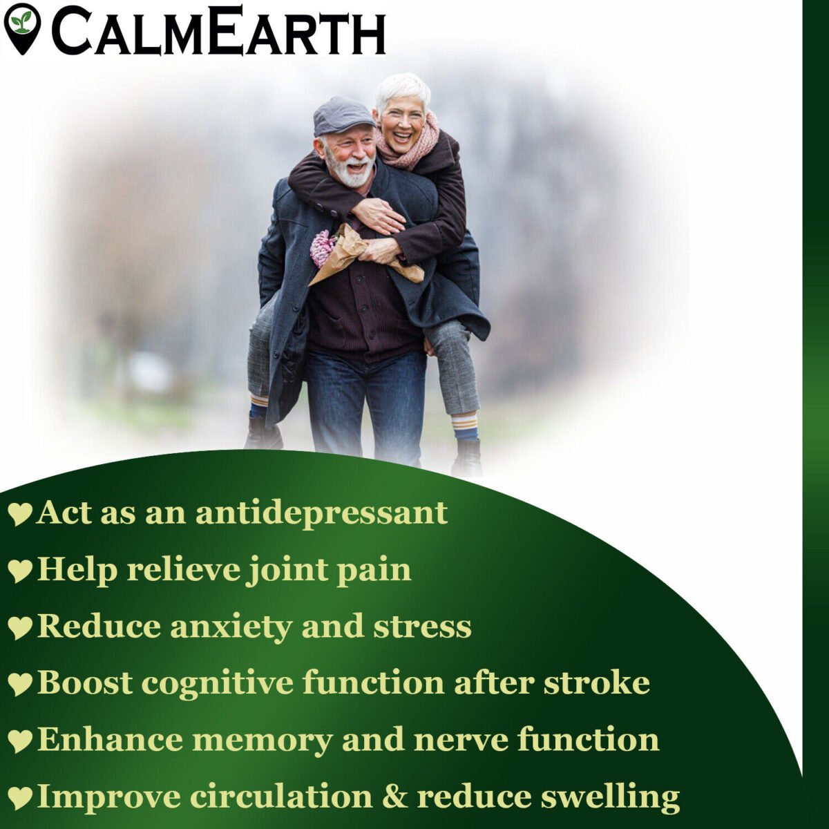 Gotu Kola Extract Powder powder natural herbal powder by CalmEarth