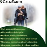 Gotu Kola Extract Powder powder natural herbal powder by CalmEarth