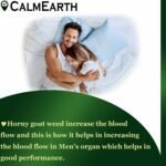 Horny Goat Weed Extract Capsules capsules close-up view by CalmEarth