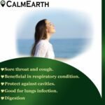 Licorice Extract Capsules capsules close-up view by CalmEarth