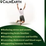 Organic Ashwagandha with Black Pepper Powder powder natural herbal powder by CalmEarth