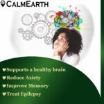 Organic Brahmi Powder powder natural herbal powder by CalmEarth