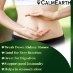 Organic Chanca Piedra Powder powder natural herbal powder by CalmEarth