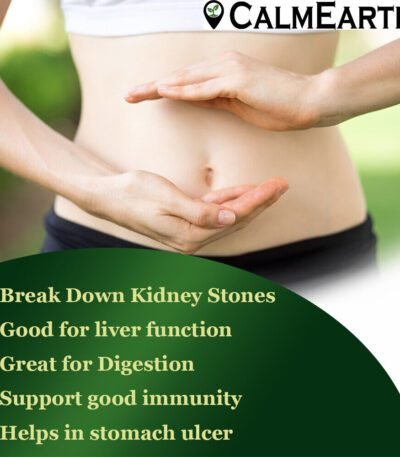 Organic Chanca Piedra Powder powder natural herbal powder by CalmEarth