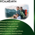 Tulsi Extract Powder powder natural herbal powder by CalmEarth